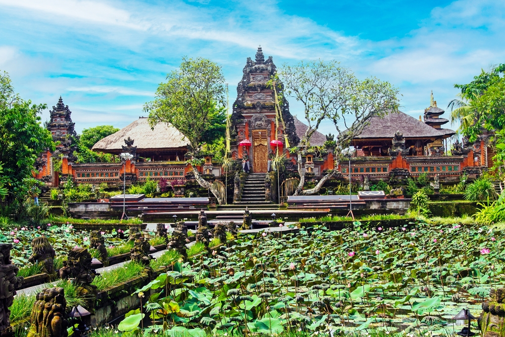 Bali trips